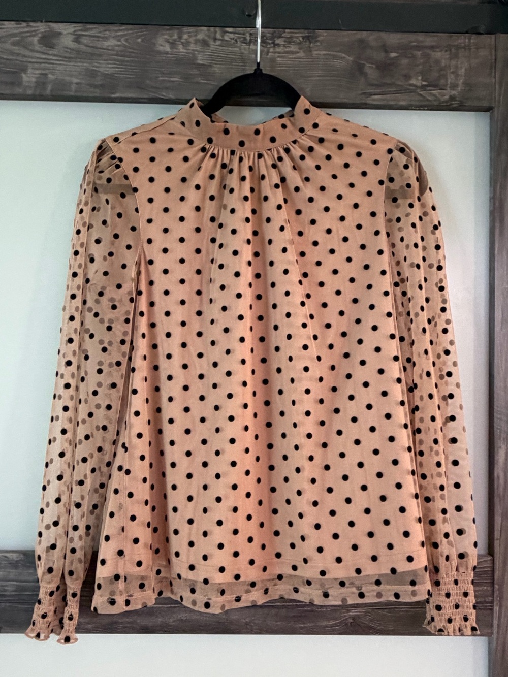 DR2 Sheer Polka Dot High-Neck Blouse in Tan and Black
